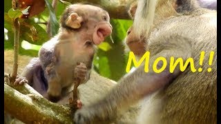 Understand My Feeling Mom ! Baby LOLA stay alone Cry sad sound scare mom Abandon.