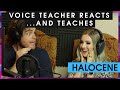 VOICE TEACHER ACTUALLY TEACHES ft Addie of Halocene