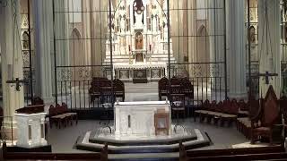 Memorial of Saint Boniface, Bishop and Martyr Mass (Presider: Fr. Carlson, SJ) 06/05/2026