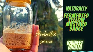 How to make Lacto Fermented Yellow Mustard  Recipe in India (Probiotic-Rich Mustard Sauce)