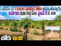1 Acr 37 Guntas Mango Garden Sale Jangaon | Mandal Jangaon | Call 8184850330