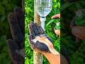 Survival skills: How to Make the Most of Your Last Soap in the Wild! #ideasparafotos