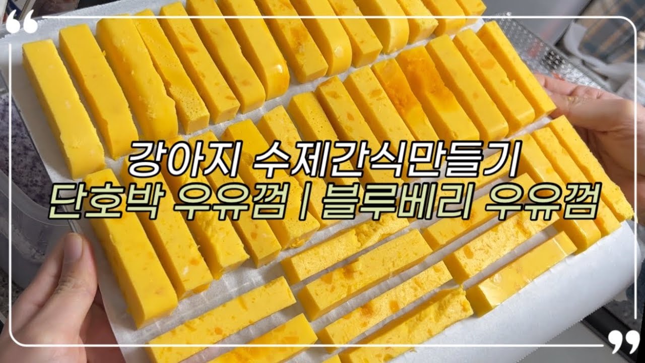 요리 Vlog * 강아지 수제간식 만들기 | 단호박 우유껌 | 블루베리 우유껌