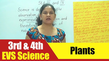 3rd & 4th EVS Science | Plants Introduction Video | CBSE Science Syllabus