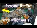 केदारनाथ को क्यों कहते हैं जागृत महादेव? भक्त और शिव जी की सत्य कथा| Lord Shiva Story of Kedarnath