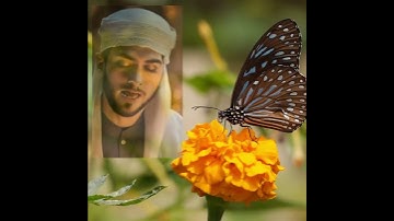 ربنا لاتزغ قلوبنا بعد اذ هديتنا - قرأن كريم #قرآن #قران_كريم #تلاوة_خاشعة #اكسبلور