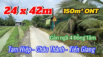 [Đã bán] T. 614 - Bán 1000m² Vườn Dừa Ô Tô Kế Đồng Tâm | xã Tam Hiệp Châu Thành Tiền Giang