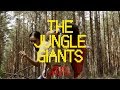 The Jungle Giants - Heavy Hearted (OFFICIAL)