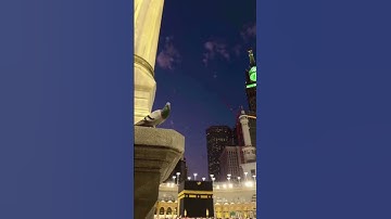 تلاوة عطرة #القرآن_الكريم #تلاوة_خاشعة #ارحقلبك #راحة_نفسية #صلوا_على_النبي