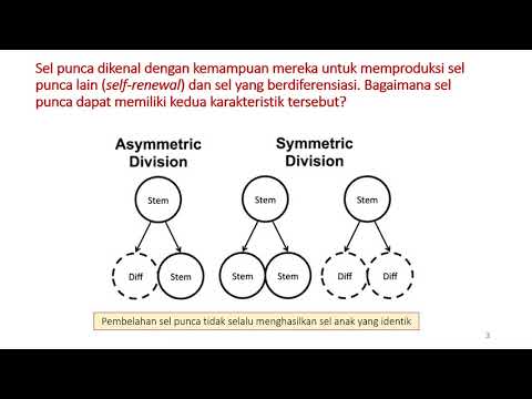 Video: Apa contoh diferensiasi sel?