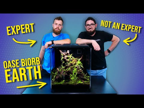 Video: Bimët për Terrariumet - Cilat bimë rriten mirë në një Terrarium