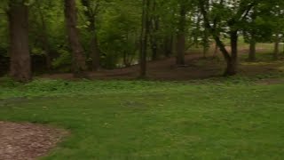 Exploring the New Red Cedar River Trail: Connecting Lansing to Michigan State