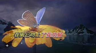 春風吻上我臉〈華語〉〈卡拉伴奏版〉 春風吻上我臉〈華語〉〈卡拉伴奏版〉