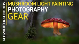 Mushroom Light Painting Photography - Gear