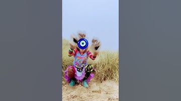 Thumbnail of There is a cat in the sand dunes ! #music #song #antizoo #theriantropy #quadrobics #stoptherianhate