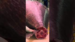 Cutting giant bluefin tuna to luxurious sashimi, teppanyaki tuna / 巨大黑鮪魚切割秀, 鐵板上腹肉 - Taiwanese food