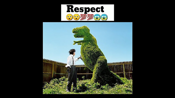 Respect