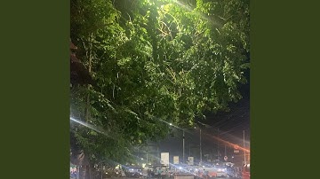Mahalul qiyam (Remastered 2024)