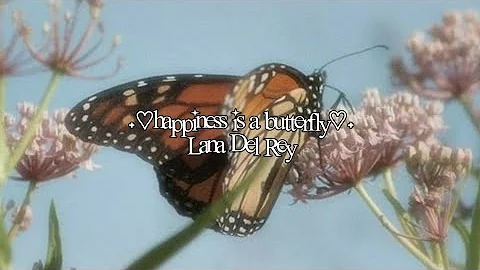 Lana Del Rey [ Happiness is a butterfly ] short visual lyric video