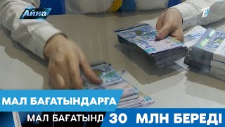 МАЛ БАҒАТЫНДАРҒА 30  МЛН БЕРЕДІ