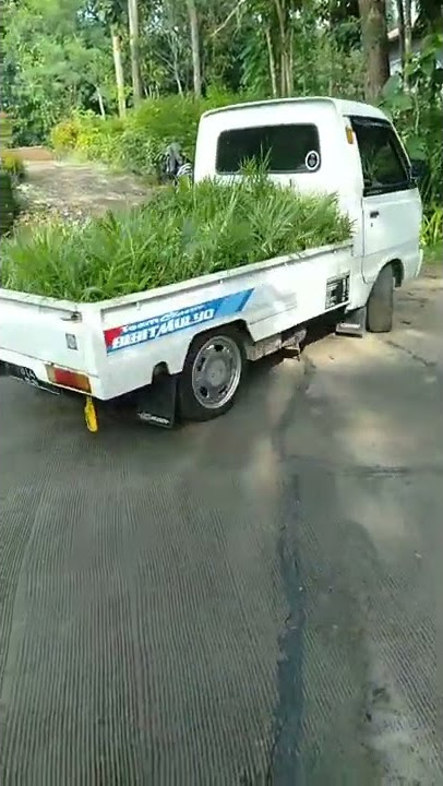 carry bagong 85 ceper modif sederhana tapi bisa untuk kerja..