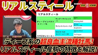 【リアルスティール】 ディープ系のなかでも超良血! トップ種牡馬になれるポテンシャルあり!