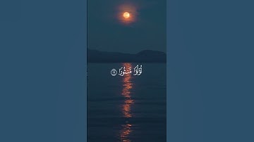 ما تيسر من سورة الإنسان بصوت الشيخ محمد صديق المنشاوي ❤️❤️🌹