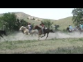 Lakota war pony races  remember greasy grass  part six