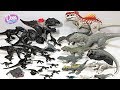 MY MEGA INDORAPTOR VS INDOMINUS REX Toys Collection - Jurassic World Fallen Kingdom Dinosaur Toys