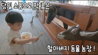 [육아일상] 아이들이랑 체험가기 좋은 할아버지 동물농장😊😊😊