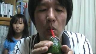 Avocado Ocarina:Mary Had a Little Lamb