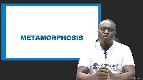 METAMORPHOSIS | BIOLOGY | EXAM GUIDE | LEARNING HUB | ZIGMATECH CONSULT LIMITED | EXAMGUIDE |SCIENCE