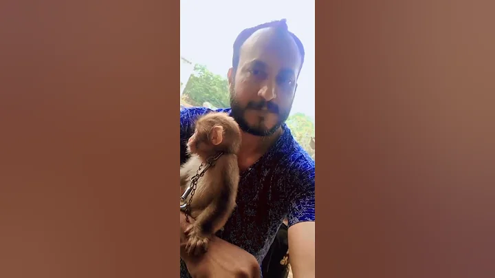 (MK VLOG) just for fun  VISIT WILLITON MARKET LAHORE PURCHASE A LITTLE MONKEY - DayDayNews