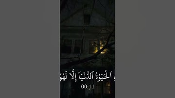 #تلاوة_خاشعة #عبدالرحمن_مسعد #تلاوة_ #quran