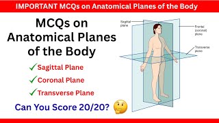 Anatomical Planes of the Body | MCQs with Answers (Coronal Plane, Sagittal & Transverse Plane) Net Worth