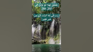 # دعاء للبركة و الغنى #سورة القصص الآية 24 #احلى حالات واتساب # المنشاوي