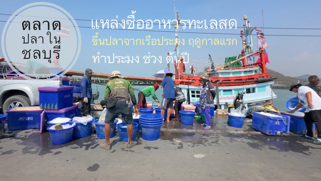 Рыбный рынок Ао Удом, крупный центр торговли морепродуктами в городе Шрирача, провинция Чонбури, ...