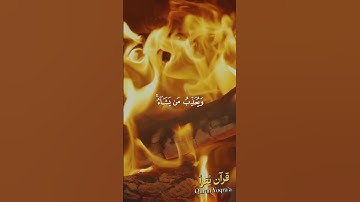 ولله ملك السموات والأرض #سورة_الفتح #القرآن_الكريم #السديس #اكسبلور #راحة_نفسية #لايك #تلاوة_خاشعة