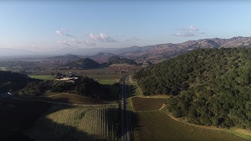 Cheers! Behind-the-Scenes with the Lumix GH5 in Napa Valley