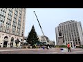 Balsam Fir Cut and Installed in Monument Square