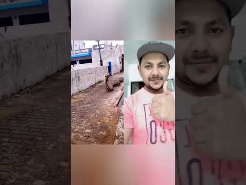 Big snake video