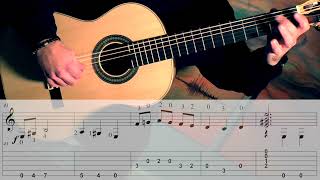 Video thumbnail of "MALAGUENA - Easy Arrangement with (partial TAB) - Fingerstyle Guitar"