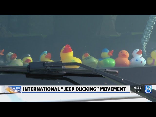 Ducks on the dash: Jeep ducking continues to grow in popularity