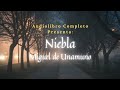 Audiolibro: "Niebla" de Miguel de Unamuno - Capítulo 8
