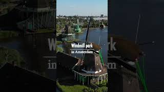 Windmills in Amsterdam - perfect day trip