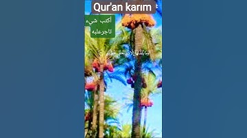 الآية { 33 }  سورة ـ فصلت ،ـ القارئ ـ سعود ـ الفايز ـ ومن ـ أحسن ـ قولاـ#القرآن
