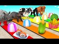 Gorilla Tyrannosaurus Elephant Zebra Hippo Are Being Tested Gorilla Tyrannosaurus Elephant Zebra Hippo Are Being Tested
