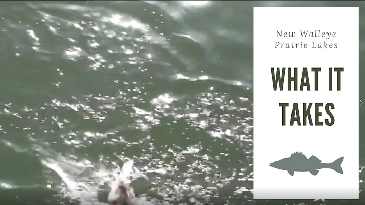 New Walleye Prairie Lakes