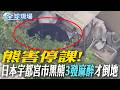 熊害停課!日本宇都宮市黑熊"3發麻醉"才倒地【全球現場】20260610 @全球大視野Global_Vision