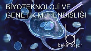 Download lagu YKS BİYOTEKNOLOJİ VE GENETİK MÜHENDİSLİĞİ YKS BİYOTEKNOLOJİ VE GENETİK MÜHENDİSLİĞİ